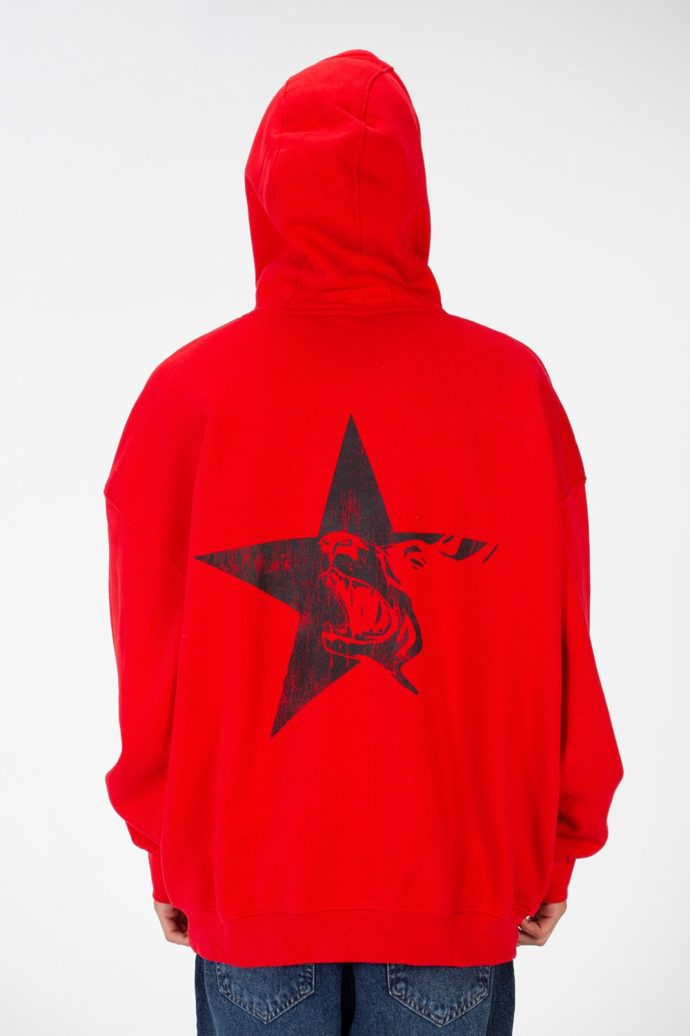 REGULAR FIT HOODED SWEATSHIRT