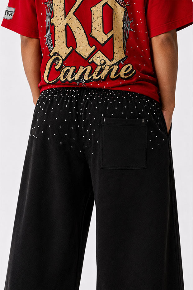 CORRUPT K9 ALPHA ELITE SET — RHINESTONE GRAPHIC T-SHIRT & WIDE SWEATPANTS