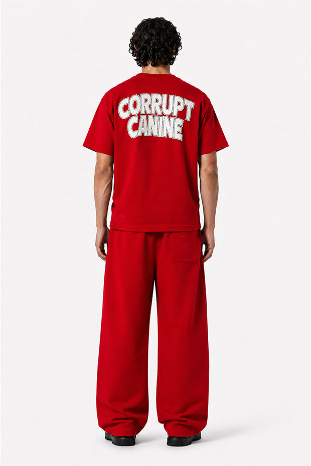 CORRUPT CANINE RHINESTONE BULLDOG FLAME GRAPHIC BOXY SET