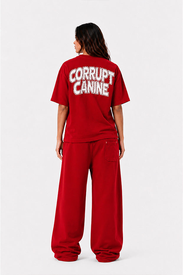 CORRUPT CANINE RHINESTONE BULLDOG FLAME GRAPHIC BOXY SET
