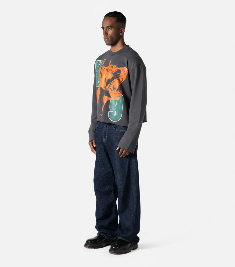 RHINESTONE DOGY &amp; LOGOS PRINT CORRUPT CROPPED SWEATSHIRT