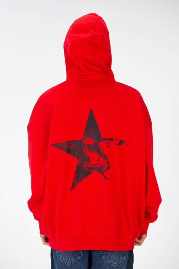 REGULAR FIT HOODED SWEATSHIRT - Image 3